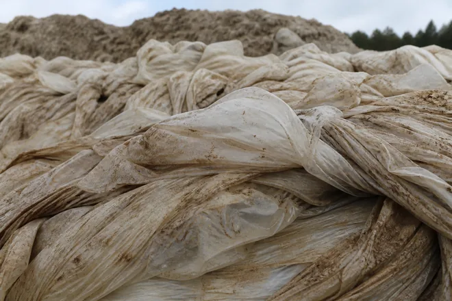 Muddy LDPE agricultural film piled for recycling